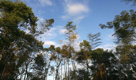生態(tài)環(huán)境部發(fā)布《中國移動(dòng)源環(huán)境管理年報(bào)（2020）》